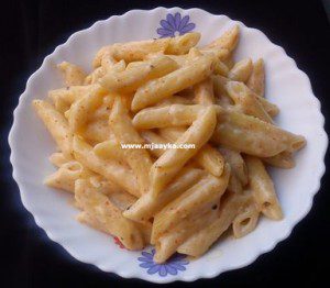 Penne-pasta-in-white-sauce